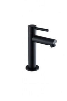 Sanilux Fonteinkraan Sanilux 15,5 cm Mat Zwart
