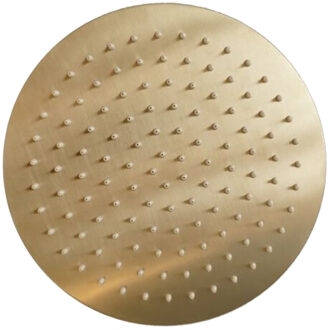 Sanilux Hoofddouchekop Sanilux Disk Rond 20 cm Geborsteld Goud