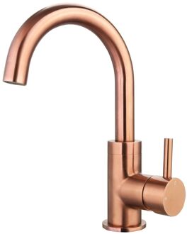 Sanilux Wastafelmengkraan Sanilux Largo Opbouw 12.8x24.4 cm Brons Geborsteld