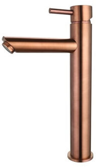 Sanilux Wastafelmengkraan Sanilux Opbouw Hoog 12.5x29.6 cm Brons Geborstel