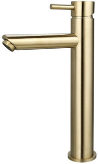 Sanilux Wastafelmengkraan Sanilux Opbouw Hoog 12.5x29.6 cm Goud Geborsteld Geborsteld Goud