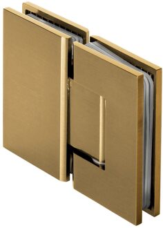 Sanitop Glasscharnier 180 graden 2 stuks PVD goud geborsteld