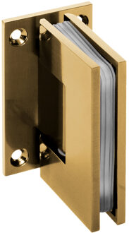 Sanitop Wandscharnieren Just Creating 2 Stuks t.b.v. D1 en DZ1 Goud Sanitop