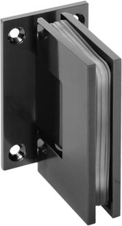 Sanitop Wandscharnieren Just Creating 2 Stuks t.b.v. D1 en DZ1 Gunmetal Wit Chroom