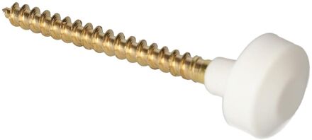 Sanivesk Fontein/potschroeven 2 Stuks Wit 4pp