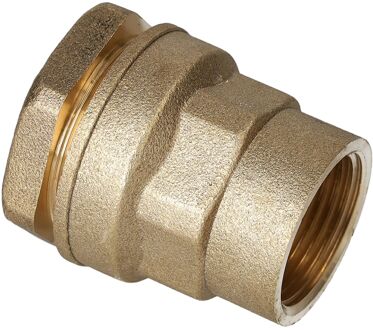 Sanivesk Tyleen Recht Overgang Messing 25mm X 3/4"f