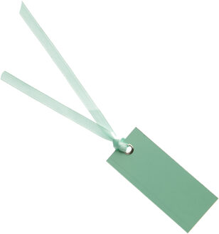 Santex cadeaulabels met lintje - set 12x stuks - mint groen - 3 x 7 cm - naam tags - Cadeauversiering