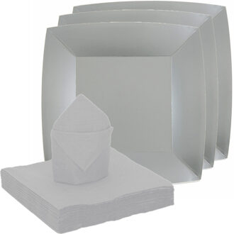 Santex Feest/verjaardag servies set 20x bordjes/25x servetten - zilver - karton