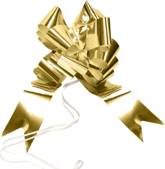 Santex Trouwauto lint met strikjes - Bruiloft - goud - just married - autodecoratie set Goudkleurig