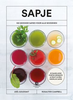 Sapje - eBook Joël Goudsmit (9048832578)