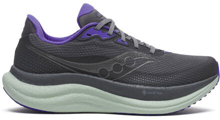 Saucony Triumph 23 GTX Dames grijs - 38 1/2