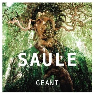 Saule - Geant