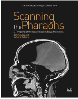 Scanning the Pharaohs