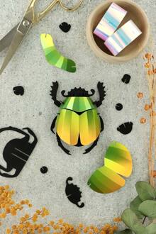 Scarab beetle mango groen metallic