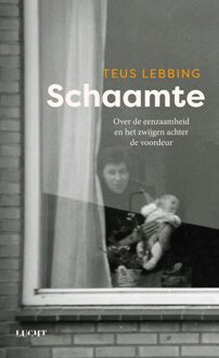 Schaamte - Teus Lebbing - ebook