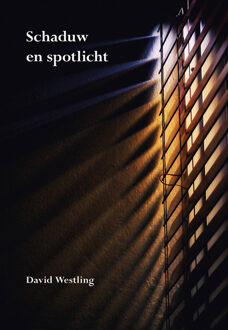 Schaduw en spotlicht -  David Westling (ISBN: 9789463656641)