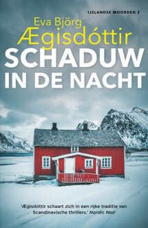 Schaduw in de nacht - Eva Björg Aegisdóttir - ebook