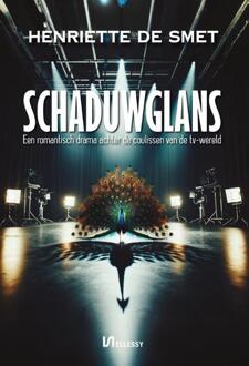 Schaduwglans -  Henriëtte de Smet (ISBN: 9789464938500)