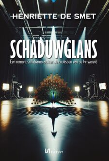 Schaduwglans -  Henriëtte de Smet (ISBN: 9789464938517)