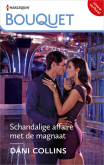Schandalige affaire met de magnaat -  Dani Collins (ISBN: 9789402573886)