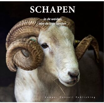 Schapen In De Weiden Van De Lage Landen - Jan Smit