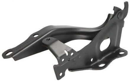 Scharnier, motorkap 6802008195451P