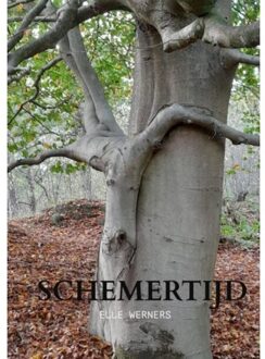 Schemertijd - Elle Werners