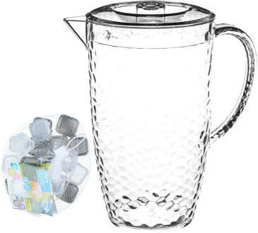 Schenkkan/karaf met deksel - met 20x ijsblokjes herbruikbaar - 2L - kunststof