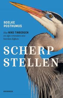 Scherpstellen -  Roelke Posthumus (ISBN: 9789464713114)