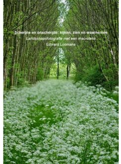 Scherpte en onscherpte: kijken, zien en waarnemen - Boek Edward Loomans (9082472902)