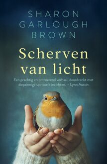 Scherven van licht - Sharon Garlough Brown - ebook
