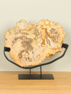 Schijf versteend hout op standaard nr. 01