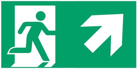 Schild vluchtroute type G voor E-Lux standaard wit, groen