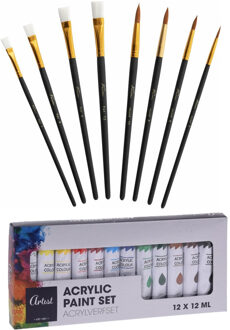 Schilder penselen set met palet en verf - hout - 8x penselen - 12 tubes Acrylverf mix kleuren