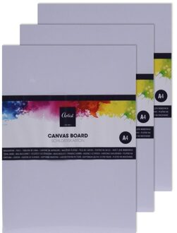 Schilderen op canvas 3 stuks