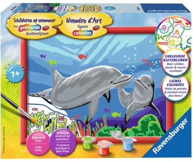 Schilderen op Nummer dolfijnen set Multikleur