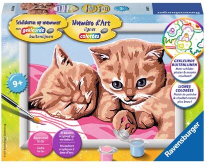 Schilderen op Nummer knuffelvriendjes Multikleur