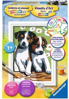 Schilderen Op Nummer Schattige Puppies Multikleur