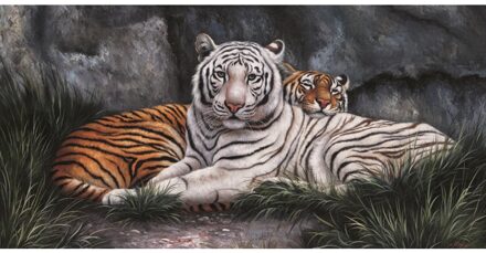 Schilderij 2 Tijgers 40x80cm multi