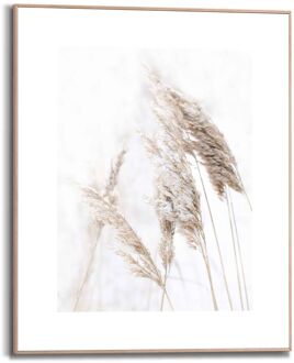 Schilderij Pampasgras Wit 40x50cm