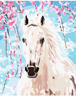 Schilderij Van Nummers Tafel Set Canvas Borstel Verf Inbegrepen 45X55 Cm-Wit Paard