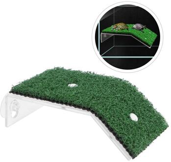 Schildpad Drogen Platform Gesimuleerde Gazon Reptiel Schildpad Klimmen Ladder Schildpad Zon Terras Klimmen Platform Simulatie Gazon