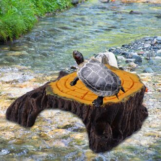 Schildpad Klimmen Platform Reptiel Brug Boom Gat Onderdak Klimmen Hideout Schildpad Zon Platform Landschap Ornament