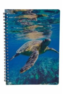 Schildpadden thema schrift/notitieblok/opschrijfboek 3D 21cm - Notitieboek Multikleur