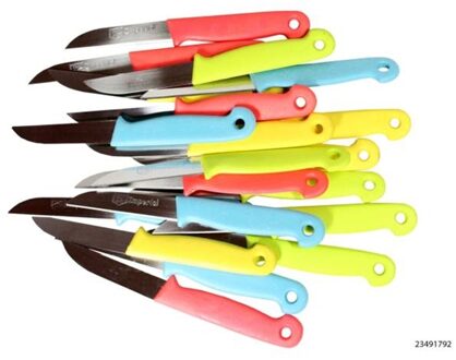 Schilmesjes pastel 5 stuks op kaart Multikleur