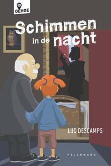 Schimmen in de nacht