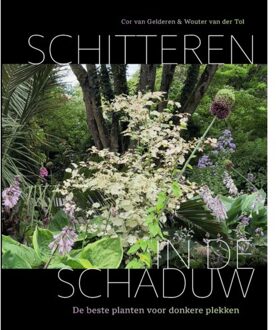 Schitteren In De Schaduw - Cor van Gelderen