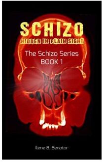 Schizo: Hidden in Plain Sight