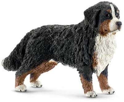 Schleich berner sennenhond vrouw 16397 Multikleur