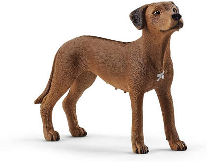 Schleich Boerderij - Rhodesian Ridgeback 13895